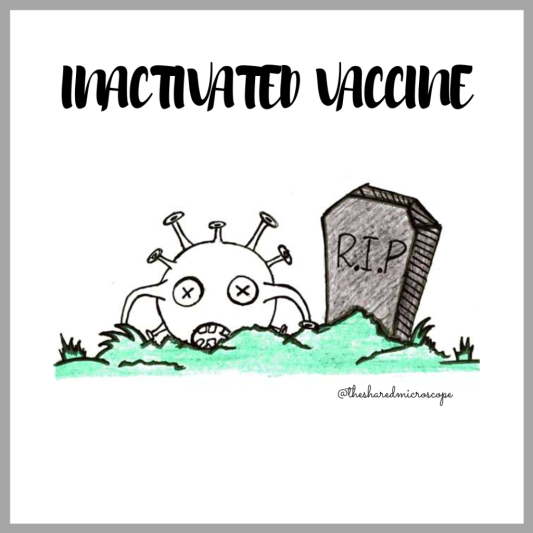 An image of a virus particle next to a gravestone that reads R.I.P. The image depicts how a virus is killed to make an inactivated vaccine.