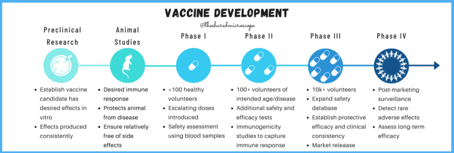 An image to explain vaccine development process. Begins with preclinical research, then animal studies, then Phase 1, 2 and 3, and finally phase 4 which is market surveillance.  